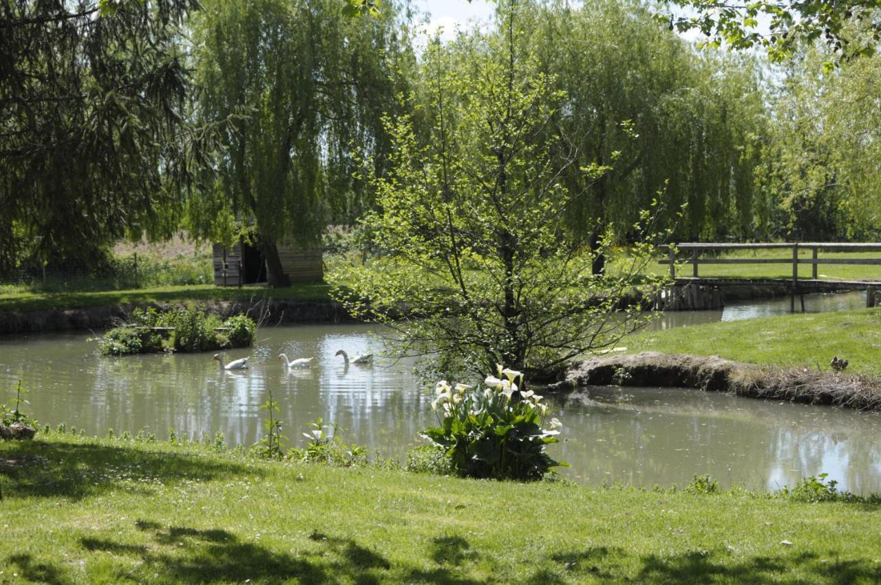 Bed and Breakfast Domaine Ramonjavel, glamping&alpaca's Fongrave Esterno foto