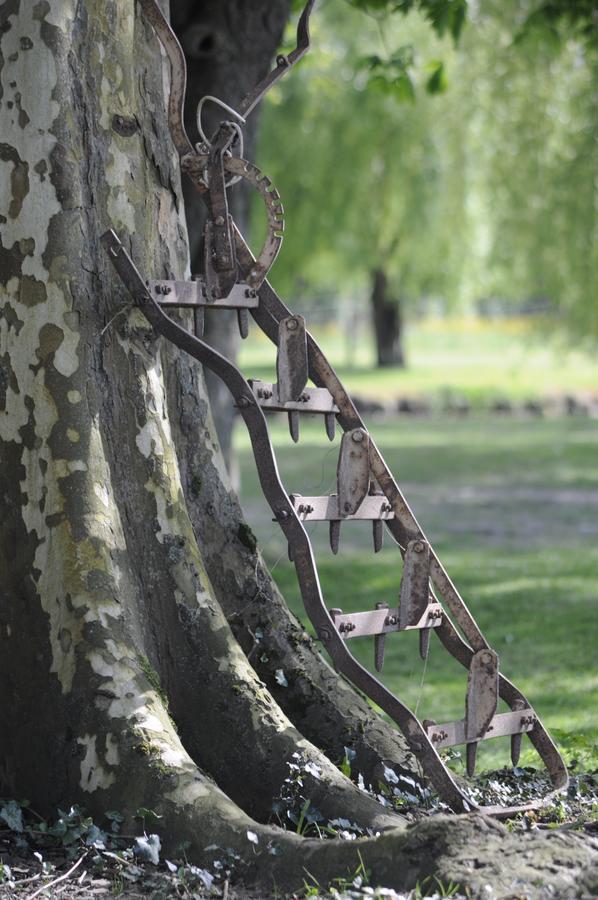 Bed and Breakfast Domaine Ramonjavel, glamping&alpaca's Fongrave Esterno foto