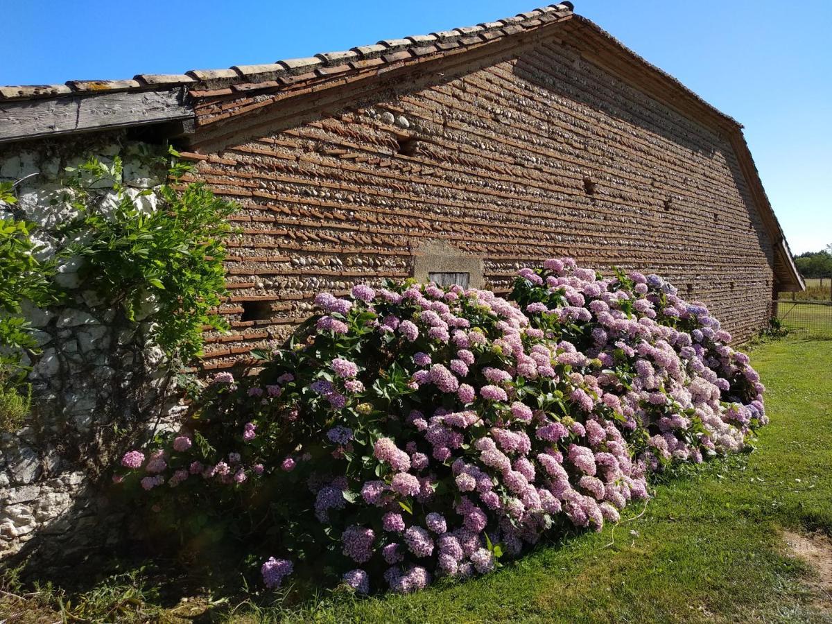 Bed and Breakfast Domaine Ramonjavel, glamping&alpaca's Fongrave Esterno foto