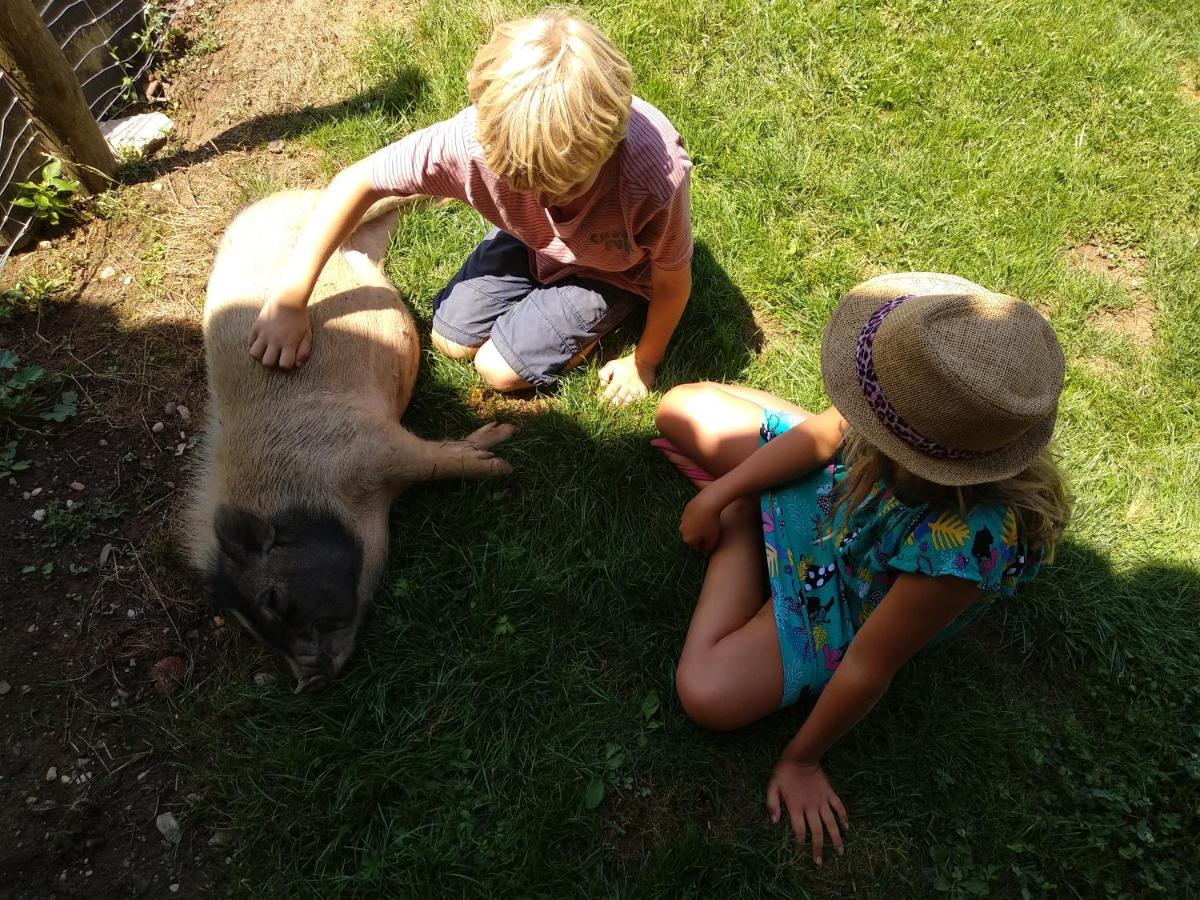 Bed and Breakfast Domaine Ramonjavel, glamping&alpaca's Fongrave Esterno foto