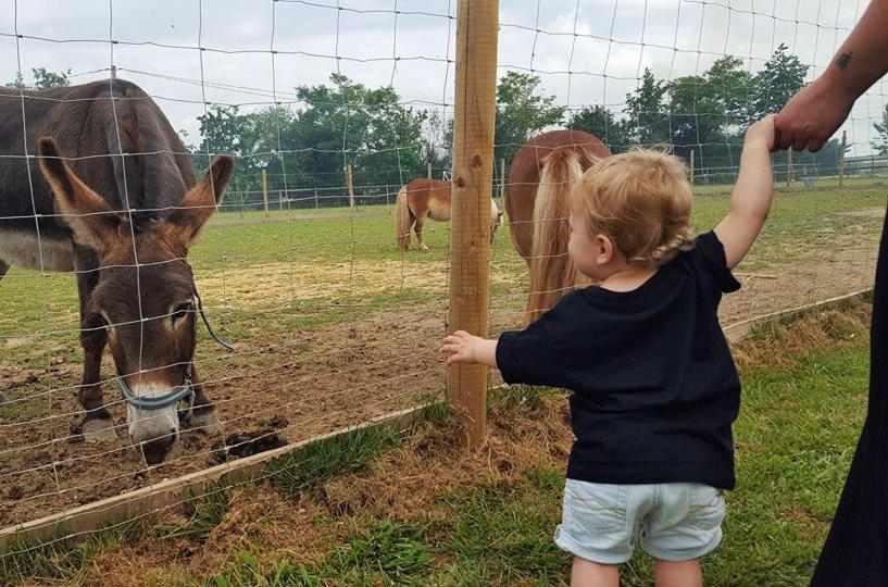 Bed and Breakfast Domaine Ramonjavel, glamping&alpaca's Fongrave Esterno foto